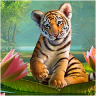 shreef